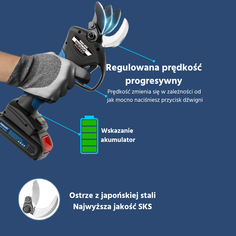 Velocita-PL-1.png